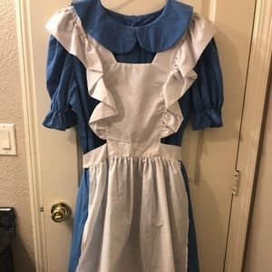 Alice in Wonderland Costume